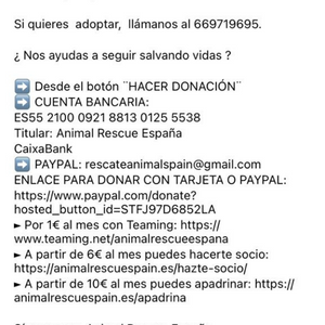 Animal Rescue España - formas de colaborar